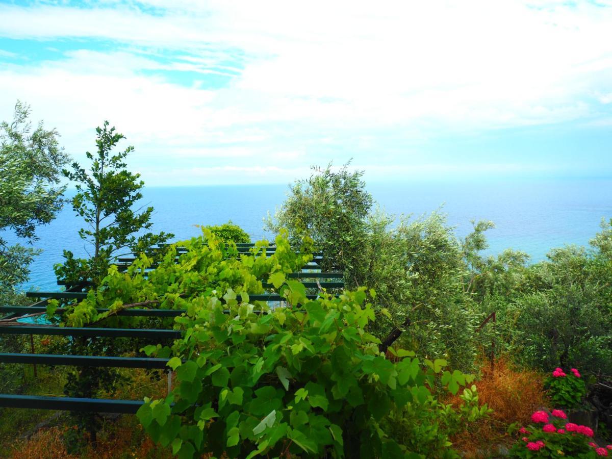 Felitsia Apartments & Studios Agios Ioannis  Esterno foto