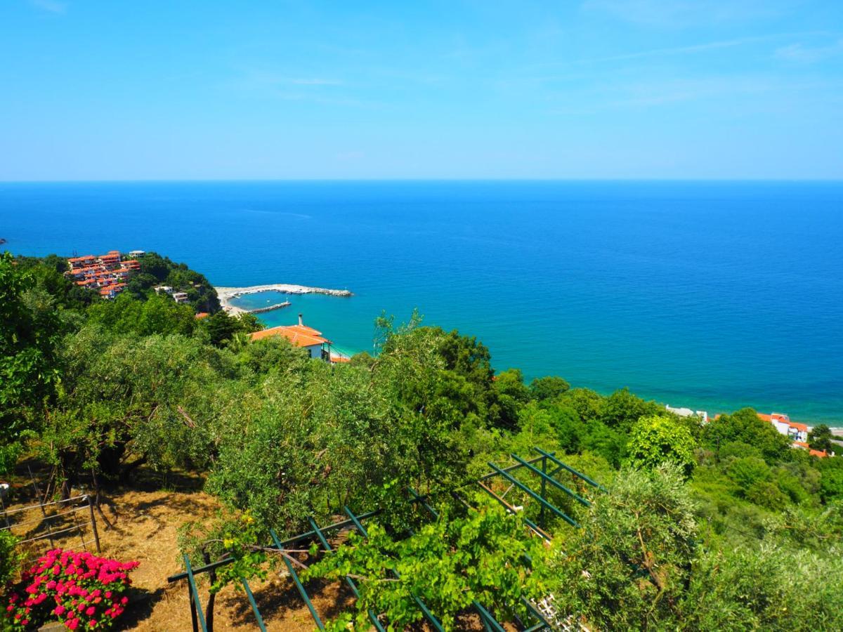 Felitsia Apartments & Studios Agios Ioannis  Esterno foto