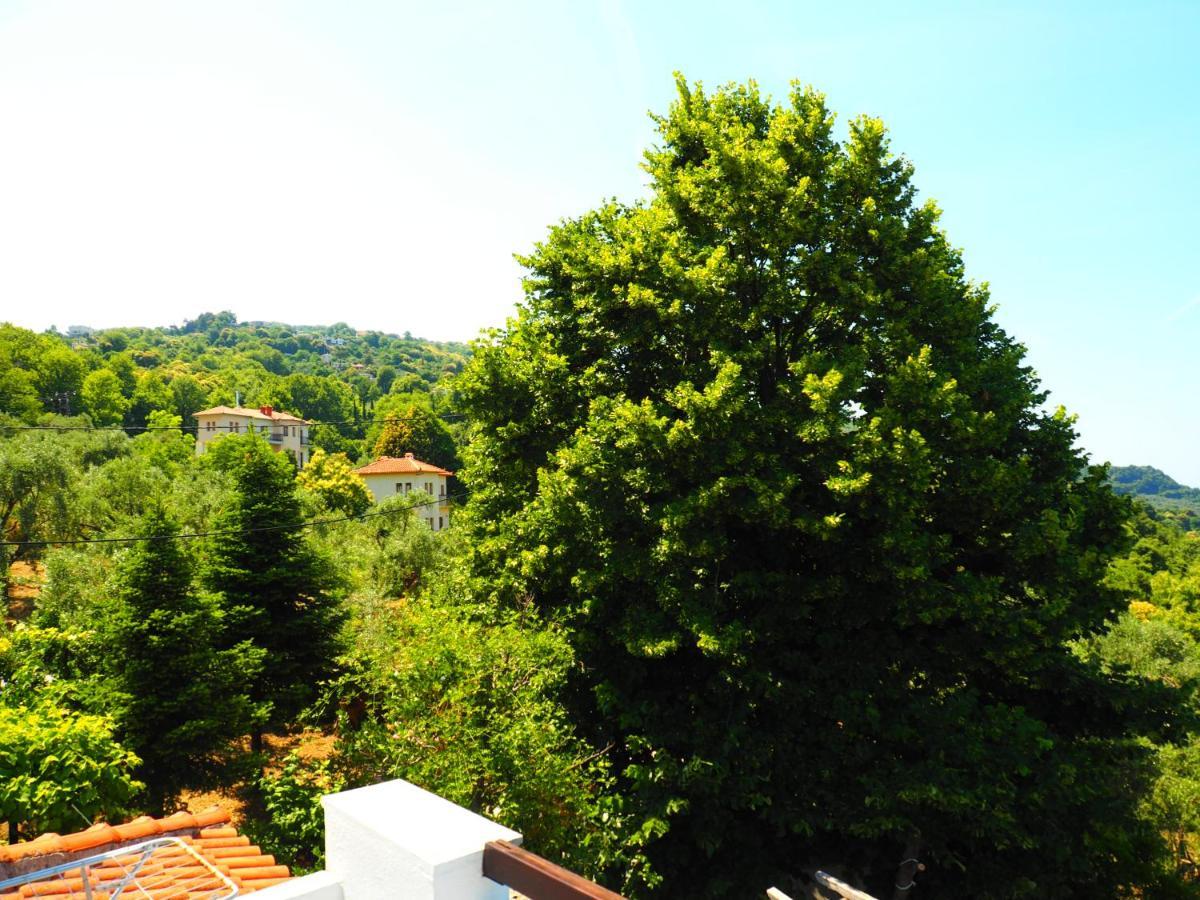 Felitsia Apartments & Studios Agios Ioannis  Esterno foto