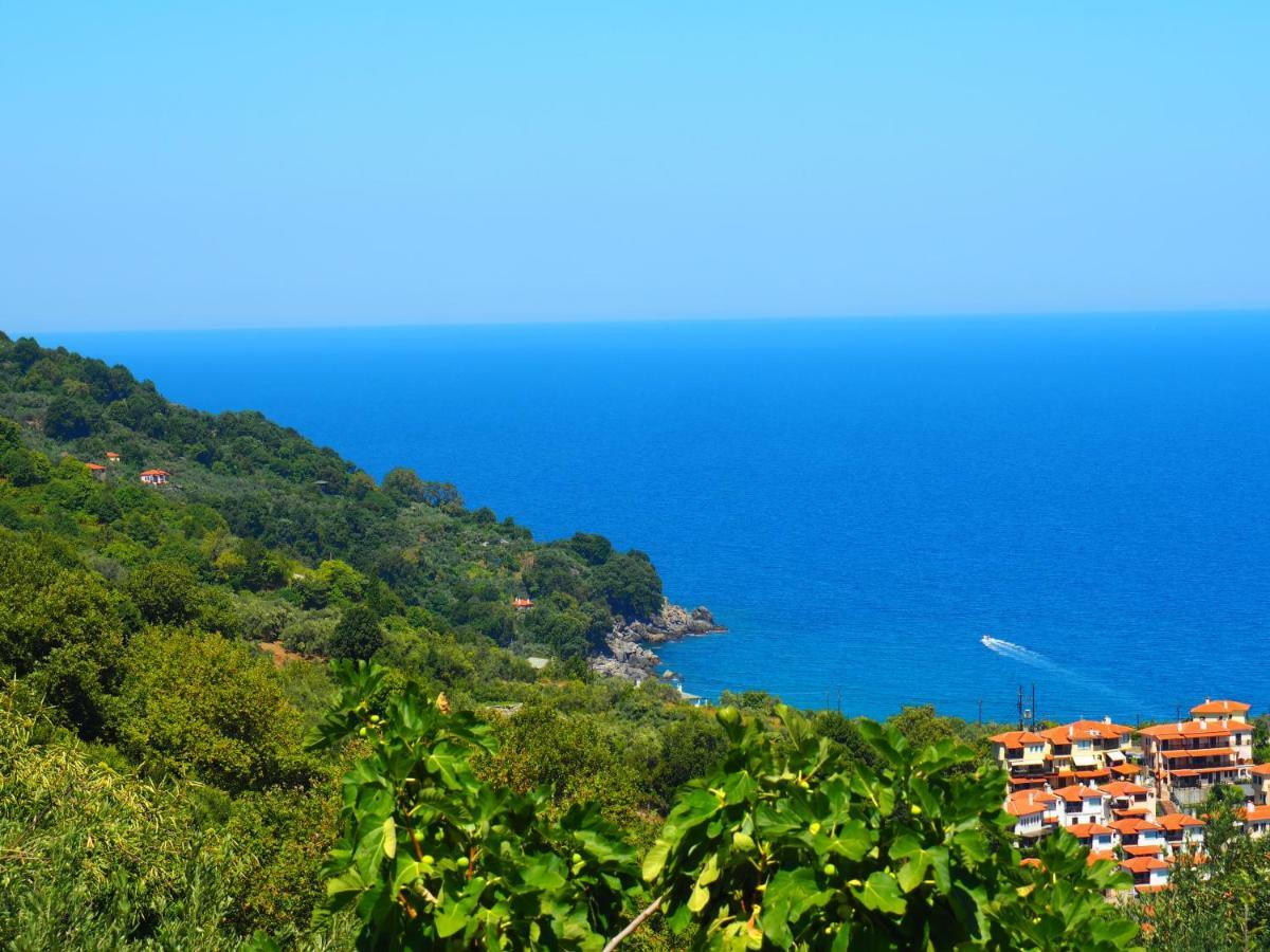 Felitsia Apartments & Studios Agios Ioannis  Esterno foto