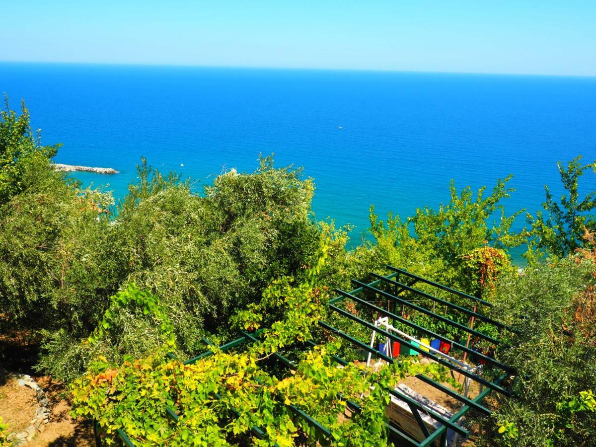 Felitsia Apartments & Studios Agios Ioannis  Esterno foto